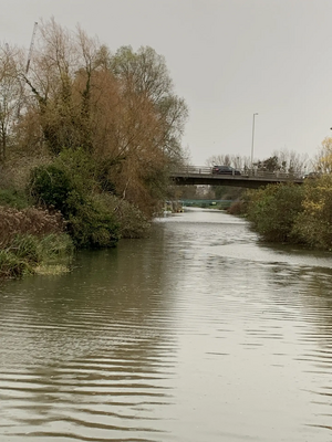 Image courtesy of sue baker river chelmer downstream