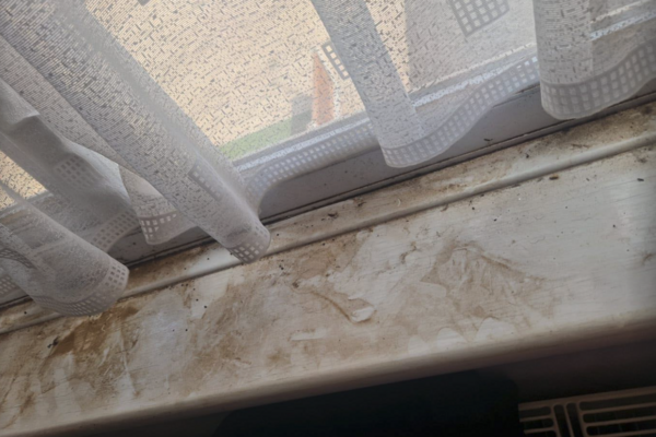 Dust on windowsill
