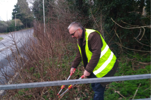 Lib Dem councillor Richard Lee cutting back vegetation in Lawn Lane to improve safety