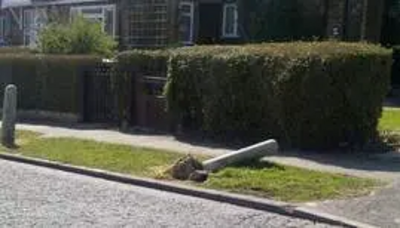 Concrete bollard fallen flat to the ground