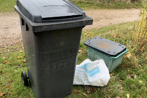 Black bin and recycling
